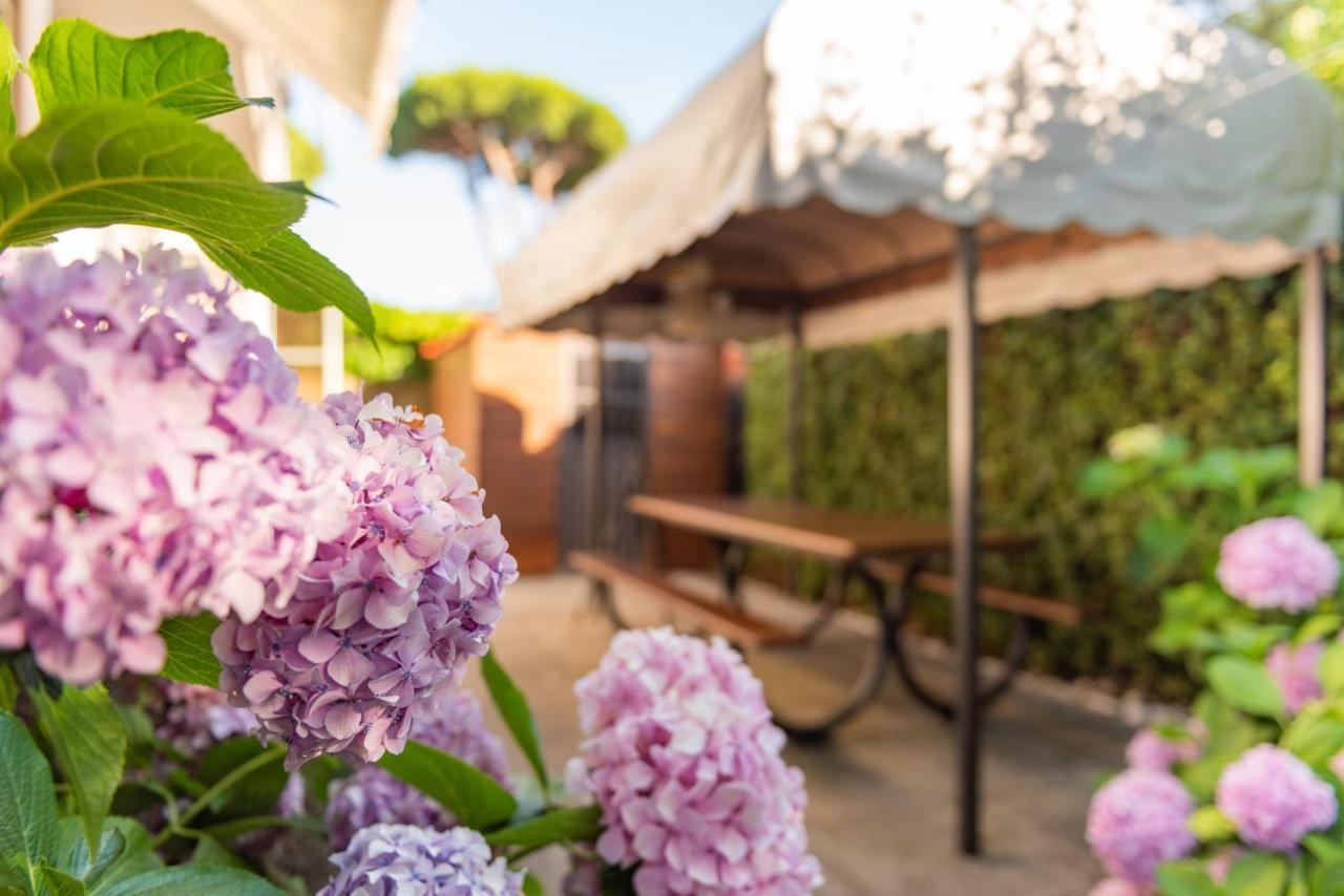 Apartment Holiday Versilia Camaiore Bagian luar foto