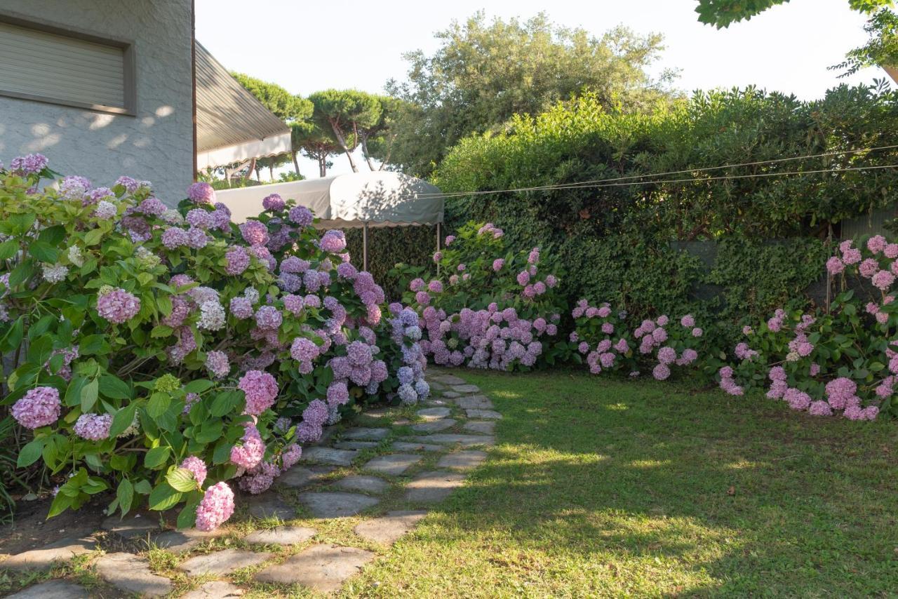 Apartment Holiday Versilia Camaiore Bagian luar foto